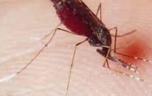شناسایی یک مورد ابتلا به مالاریا در تبعه خارجی جدیدالورود در رودبارجنوب