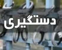 دستگیری عاملان سرقت مسلحانه در جنوب کرمان