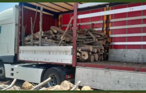 کشف و ضبط ۵ تُن چوب بدون مجوز حمل در شهرستان رودبارجنوب