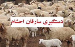 دستگیری سارقان کمتراز۲۴ساعت در عملیات پلیس رودبارجنوب