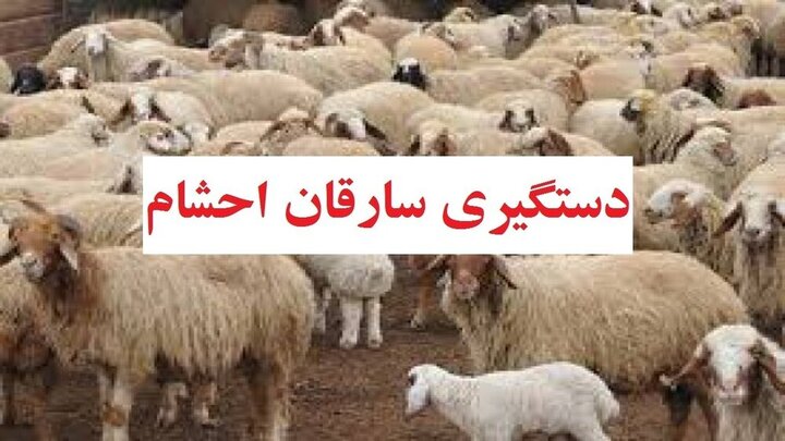 دستگیری سارقان کمتراز۲۴ساعت در عملیات پلیس رودبارجنوب