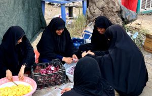 بی‌منت‌ترین‎‎ خدمت جهادی از رودبار جنوب تا کربلا