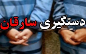 انهدام باند سارقان اماکن خصوصی در رودبار جنوب