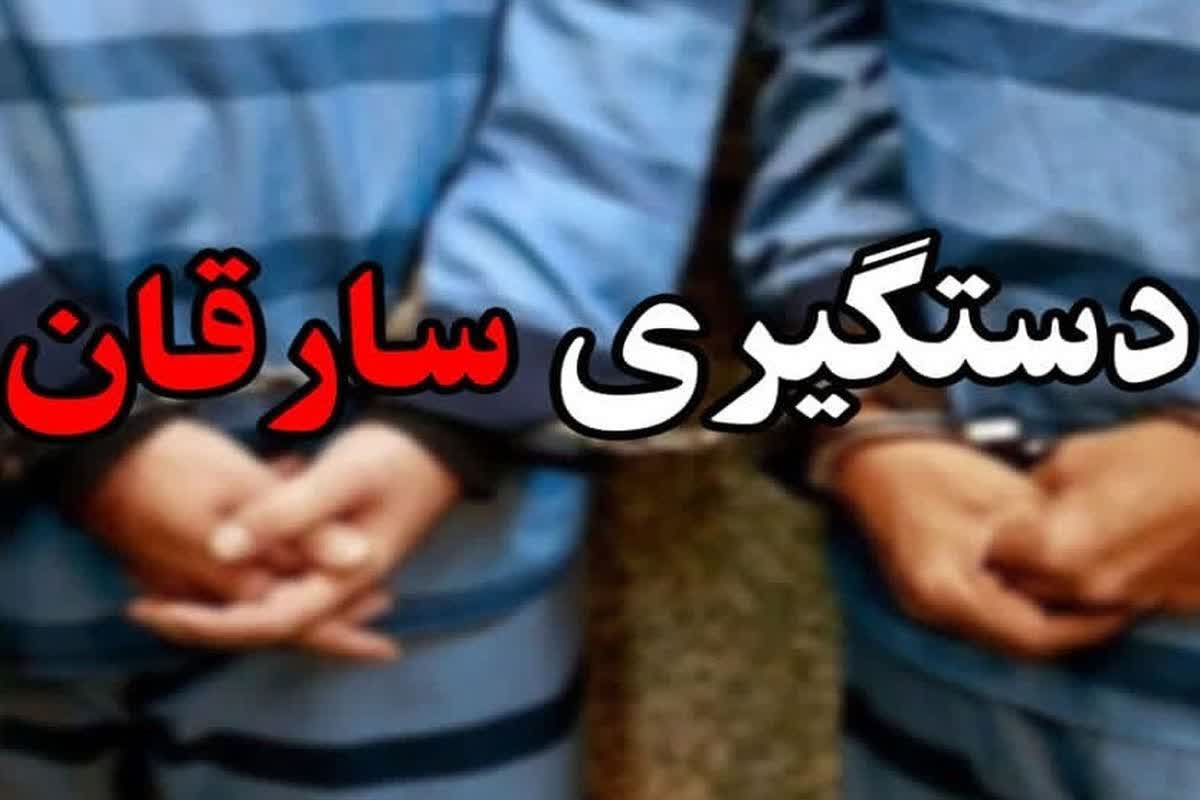 انهدام باند سارقان اماکن خصوصی در رودبار جنوب