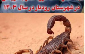 ثبت حدود ۵۰۰ مورد عقرب گزیدگی در شهرستان رودبار جنوب