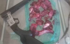 دستگیری شکارچی غیرمجاز در رودبار جنوب دستگیری شکارچی غیرمجاز در رودبار جنوب