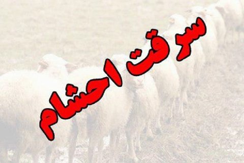 دامداران رودبارجنوب و جازموریان هوشیار باشند